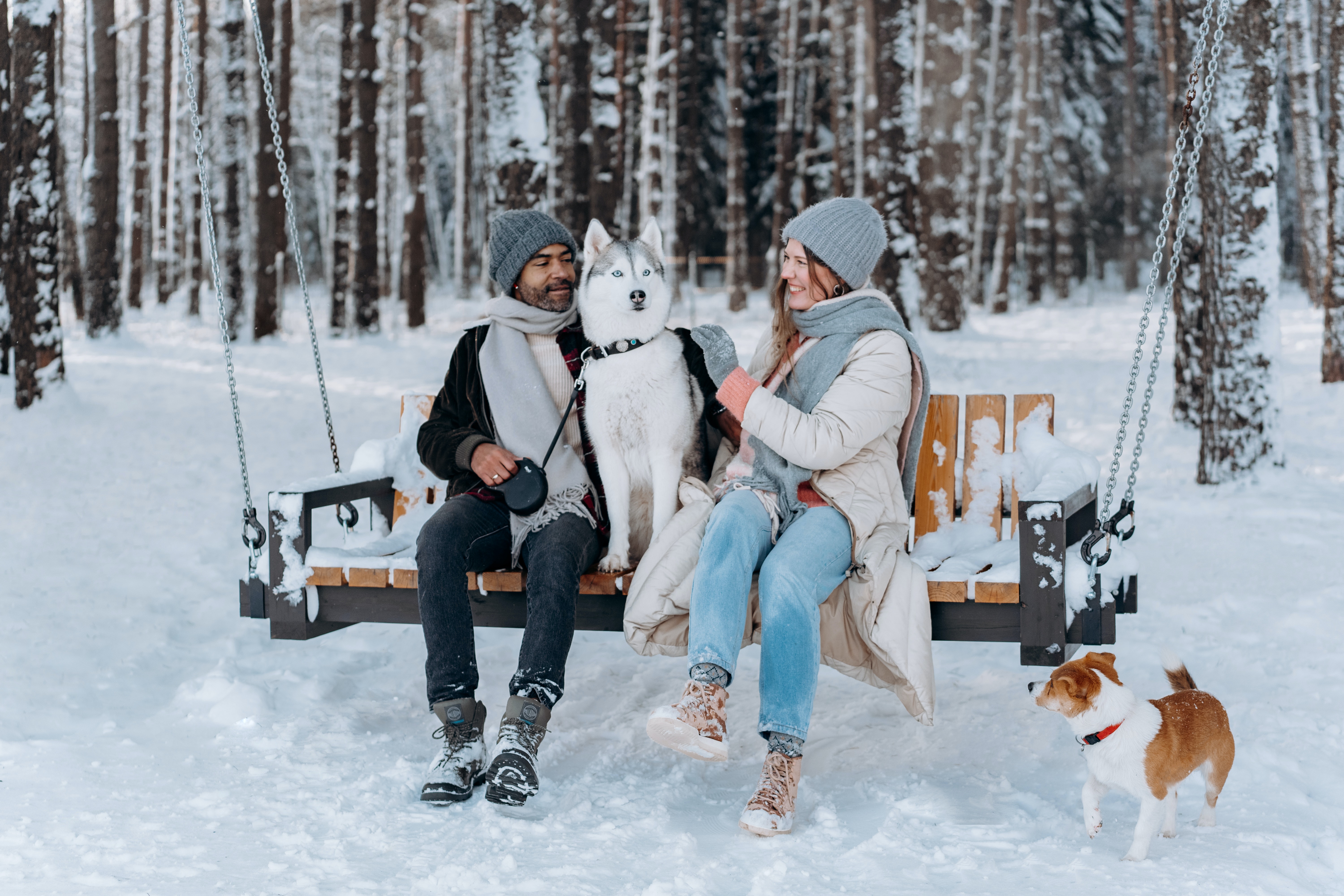 Зимние каникулы в Подмосковье: кругосветка за день, фотосет с оленями и другие идеи для уикенда