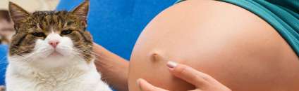 Фотосесія для вагітних