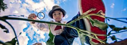 Фото телефоном