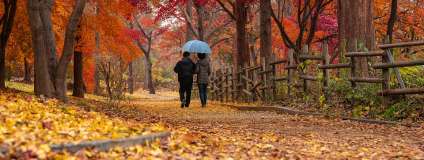 Идеи для фото осенью