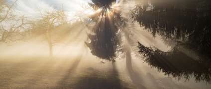How to take beautiful photos in nature