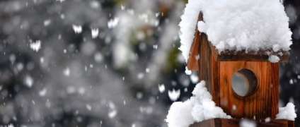 Казкова зима. Час робити фото.