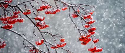 Фотографуємо зимою.