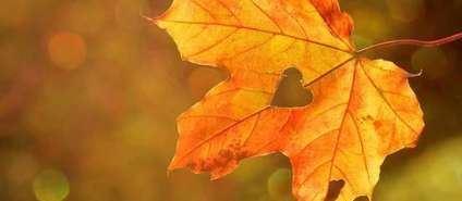 Идеи для фото осенью