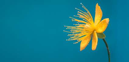 How to learn nature photography