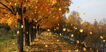 Идеи для осенних фотографий