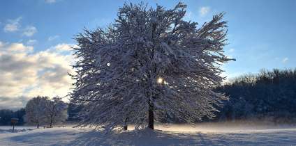 Казкова зима. Час робити фото.
