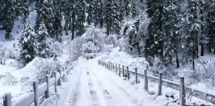 Фотографуємо взимку.