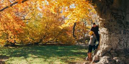 Идеи для фото осенью
