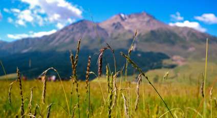 We are taking photos of nature