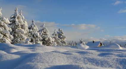 Казкова зима. Час робити фото.