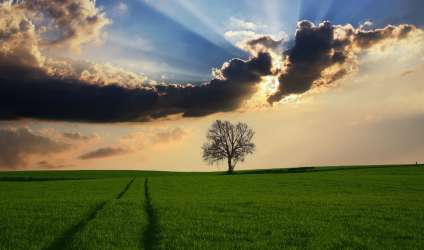 положение света