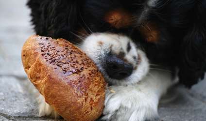 Мобильные фото