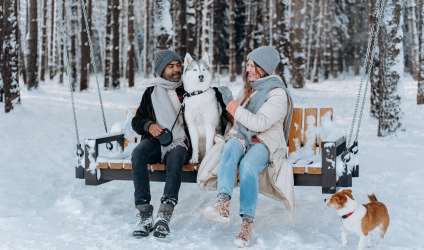 Зимняя фотосессия с животными