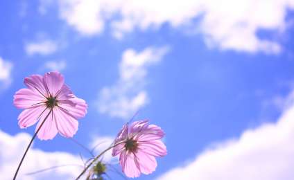 експериментуйте з кутом огляду