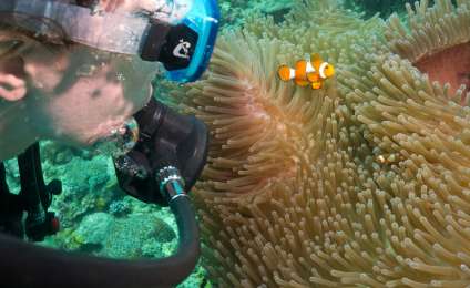 Как сделать фото под водой