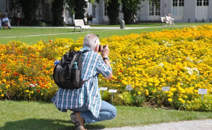 Step-by-step photography