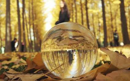 Идеи для фото осенью