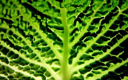 Сімейне фото