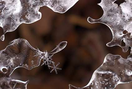 Як зробити фото крупним планом.