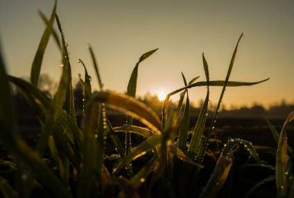 Як зробити класні фото навесні.