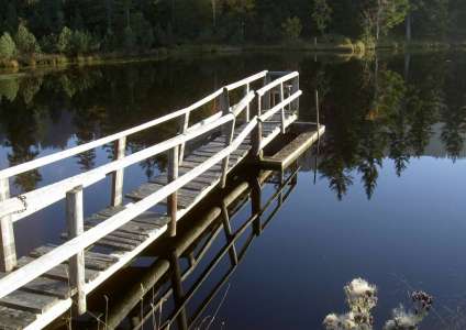 правило діагоналей
