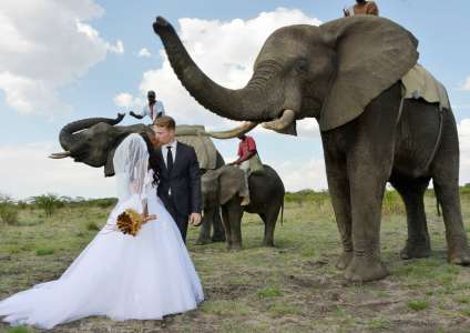 Photo session with animals