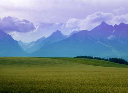 идеальный фон