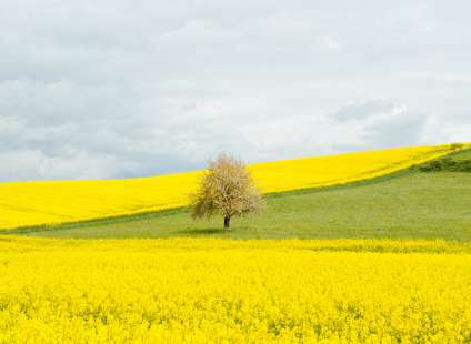 время для съемки