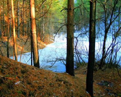 Ideas for photos at the dacha